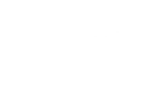 Stand Tall Chiropractic Logo