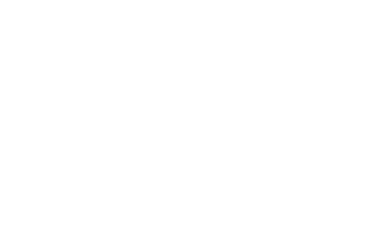 Stand Tall Chiropractic Logo